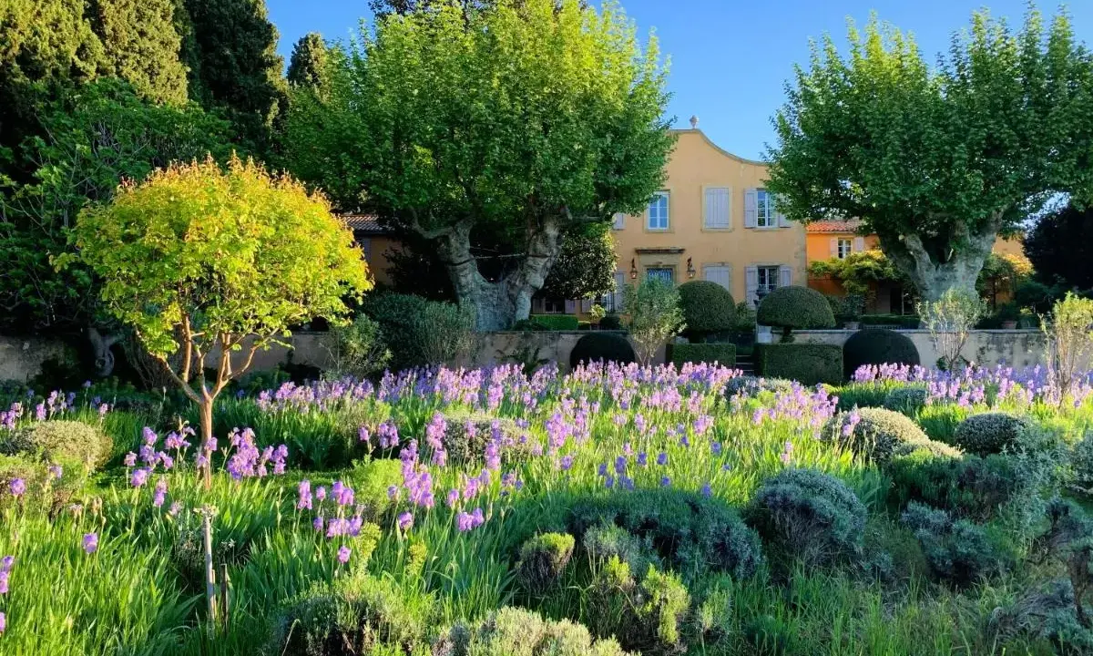 Un magnifique jardin en Provence, avec un champ d'iris violets devant un pavillon de galon jaune.
