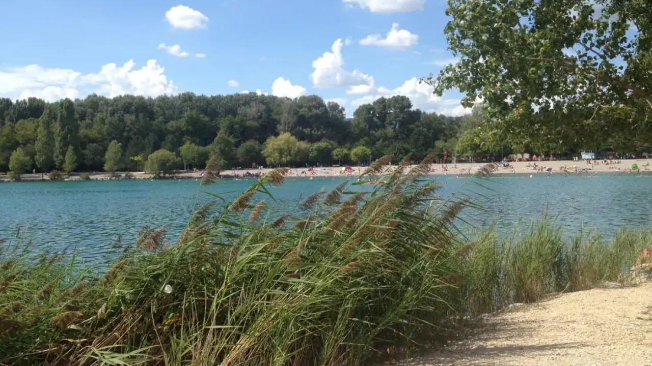 Bord du lac les Vannades, avec des roseaux au premier plan, une plage animée et une forêt dense en arrière-plan sous un ciel bleu et nuageux.