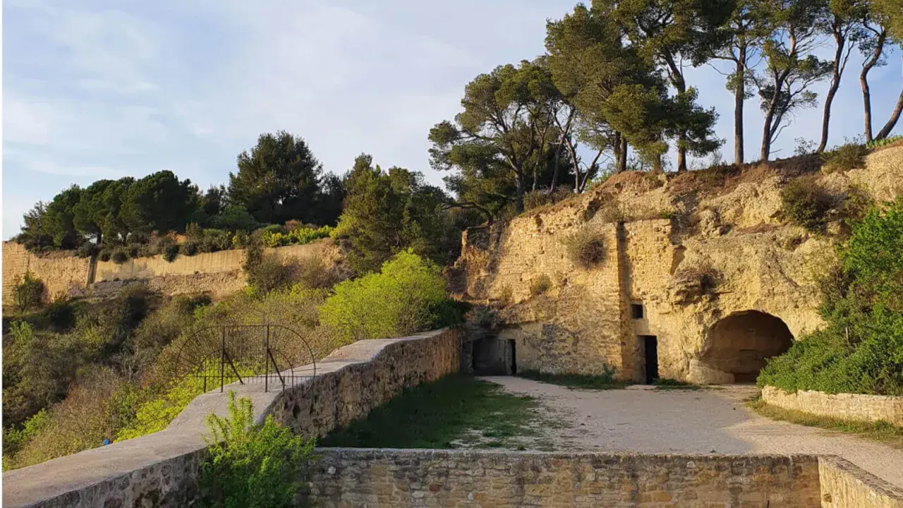 Vestiges du chateau de Cadenet creusés dans la roche, avec des pins majestueux surplombant le site.