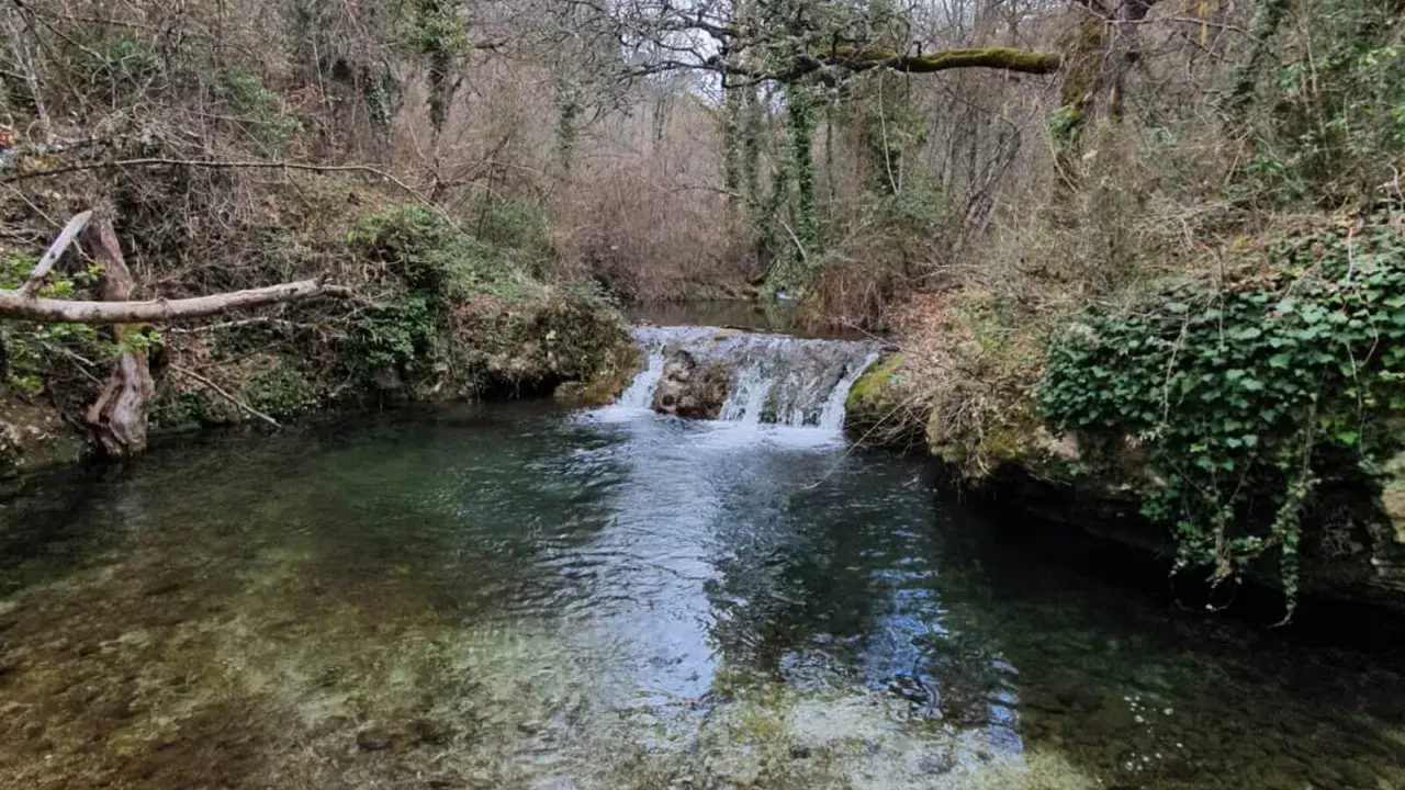 Un ruisseau aux reflets verts et bruns serpente à travers une forêt automnale, formant une petite cascade.