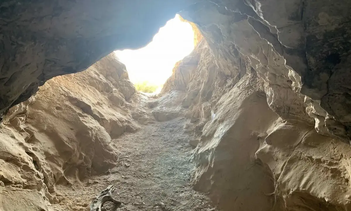 L'entrée de la grotte de Saint Eucher s'ouvre sur une lumière vive, révélant des parois rocheuses sculptées par le temps. Un morceau de bois mort repose au sol.