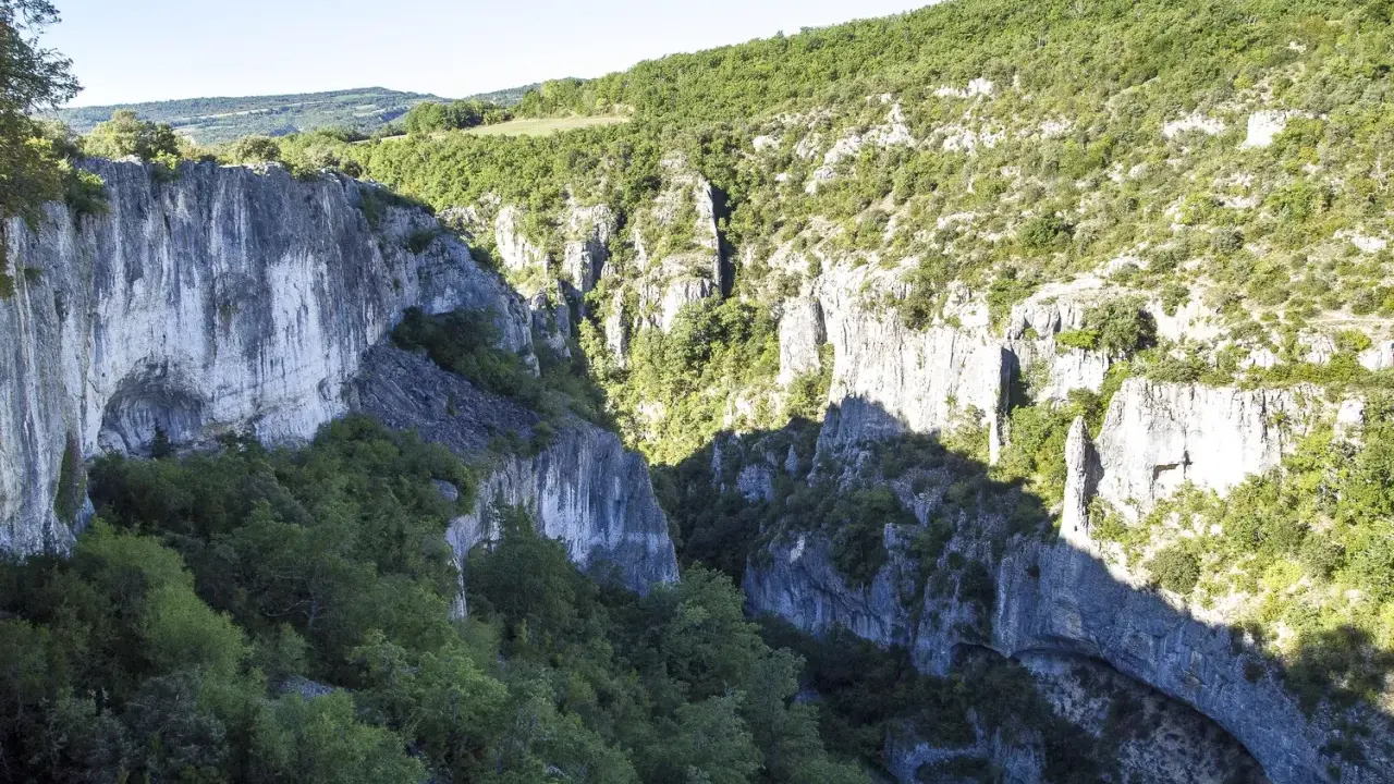 Vue plongeante sur les gorges d'Oppedette, falaises calcaires abruptes couvertes de végétation luxuriante sous un ciel bleu.