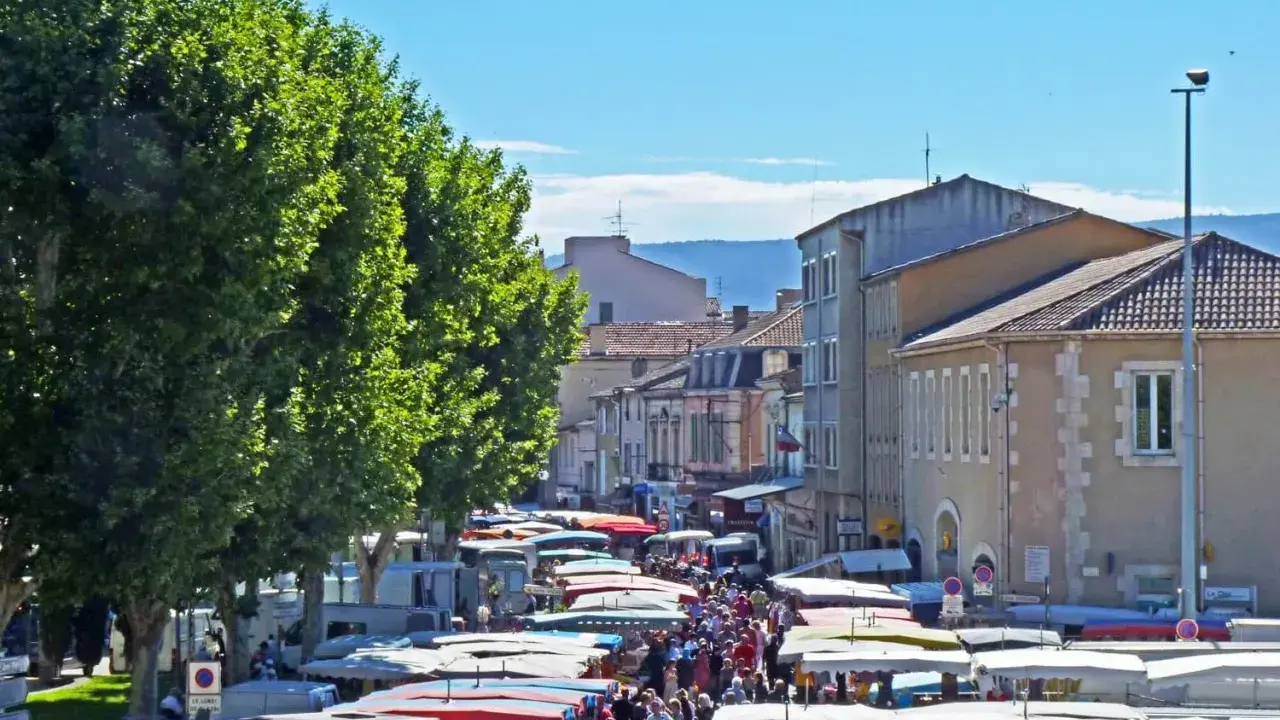 Animation de la vie au marché de Cavaillon, avec ses étals colorés sous les platanes, une foule animée et des camions de pizza.
