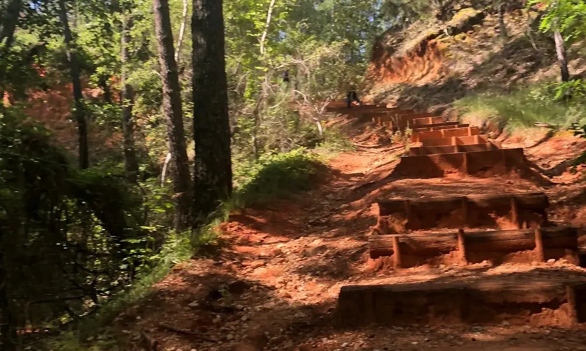 Escalier en bois sur un sentier rouge, au milieu d'une forêt verdoyante. Une invitation à l'aventure, comme un accrobranche rustrel.