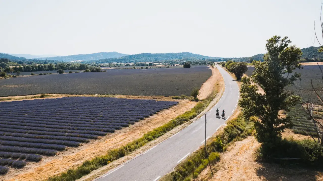 Deux cyclistes profitent des ocres et des champs de lavande en Provence.