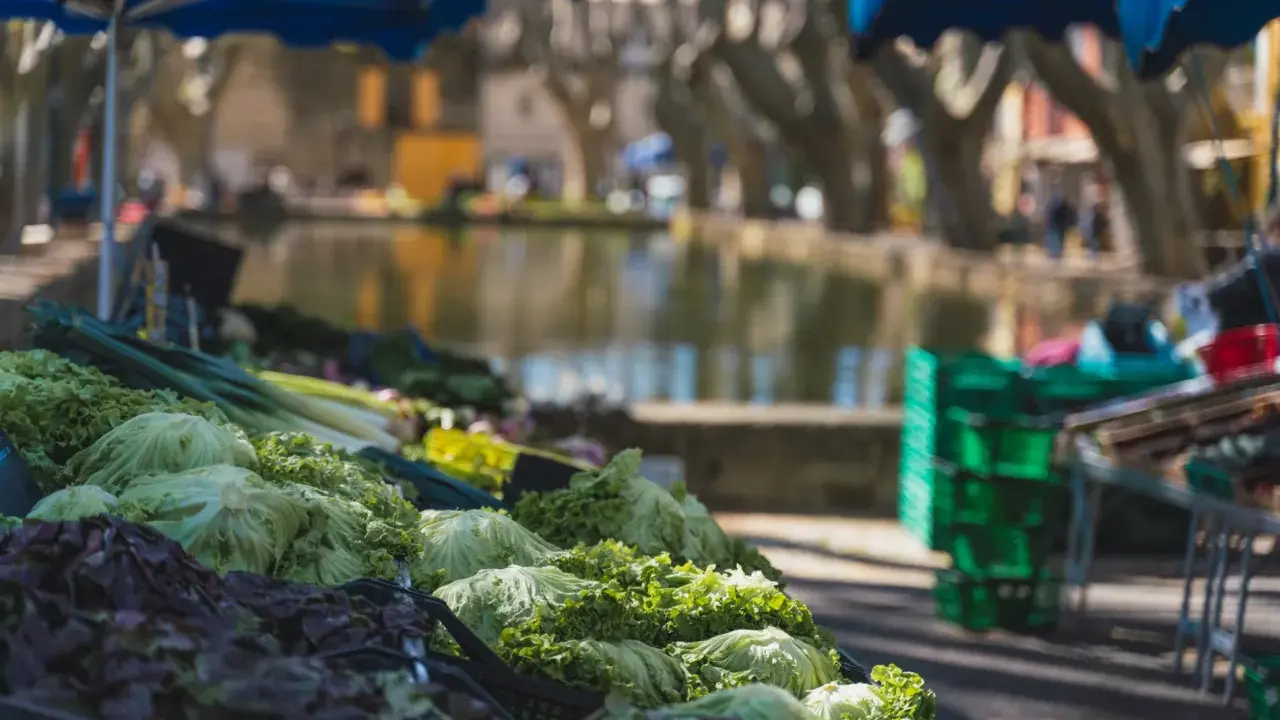 Légumes frais sur un étal du marché de Cucuron, avec un plan d'eau et des platanes en arrière-plan.