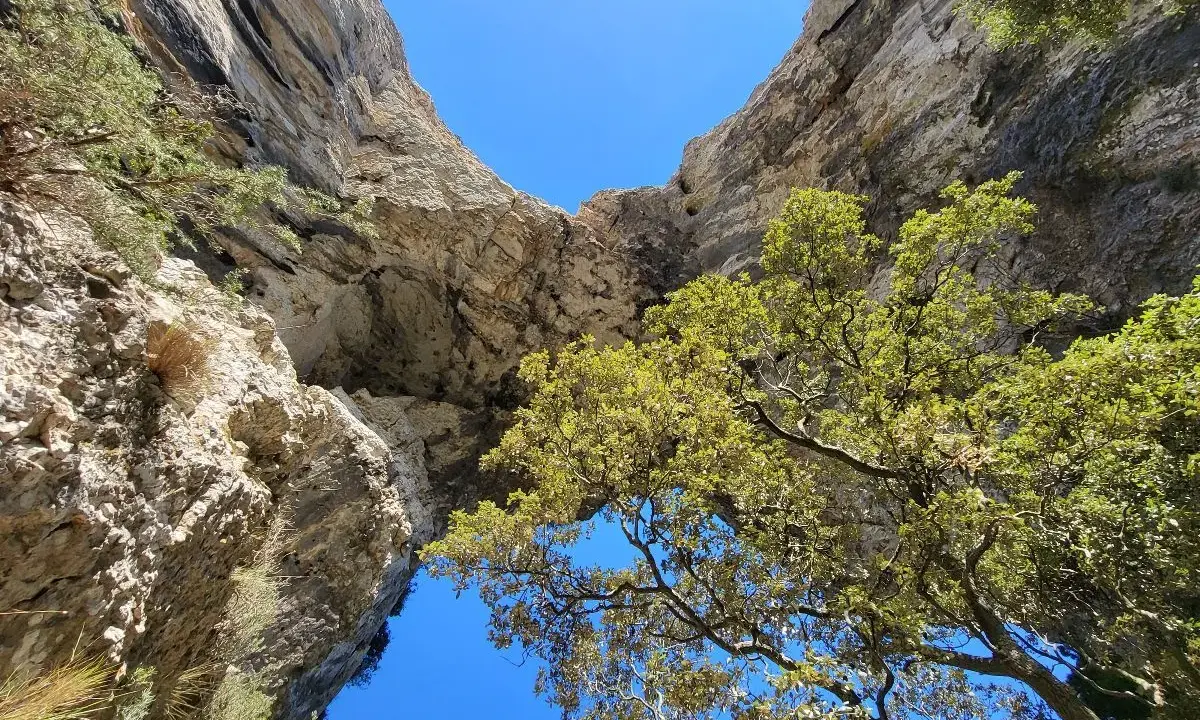 Vue plongeante d'un arc rocheux naturel lors d'une randonnée à Bonnieux, avec des arbres verdoyants et un ciel bleu éclatant.