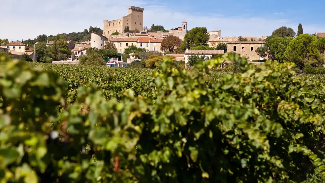 Vue sur le village de Châteauneuf-du-Pape, avec son château, ses vignobles et un ciel bleu.