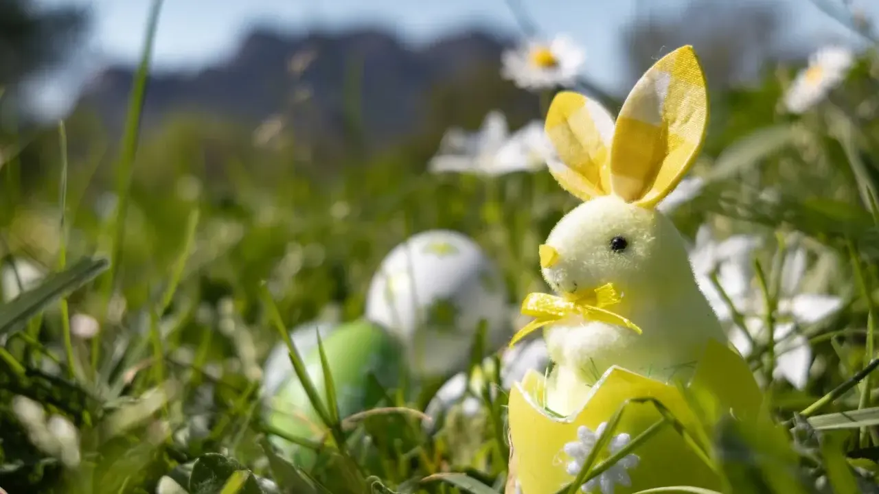 Un adorable lapin de Pâques jaune sort d'un œuf décoré, entouré d'herbe et d'œufs colorés. Idéal pour savoir que faire à Pâques.