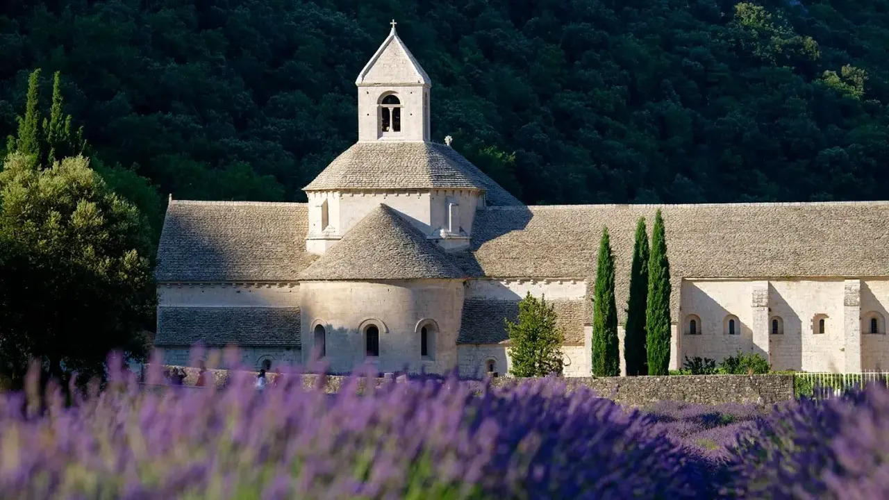L'abbaye Notre-Dame de Sénanque, baignée de soleil, se dresse derrière un champ de lavande en fleurs.