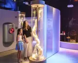 Une mère et sa fille découvrent la filaventure dans un musée interactif, fascinées par une colonne de fibres.
