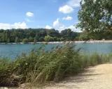 Bord du lac les Vannades, avec des roseaux au premier plan, une plage animée et une forêt dense en arrière-plan sous un ciel bleu et nuageux.