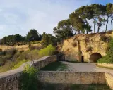 Vestiges du chateau de Cadenet creusés dans la roche, avec des pins majestueux surplombant le site.