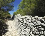 Sentier rocailleux bordé d'un mur de pierres sèches, vestige d'un ancien mur de la peste, sous les pins verts et le ciel bleu.