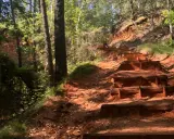 Escalier en bois sur un sentier rouge, au milieu d'une forêt verdoyante. Une invitation à l'aventure, comme un accrobranche rustrel.