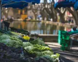 Légumes frais sur un étal du marché de Cucuron, avec un plan d'eau et des platanes en arrière-plan.