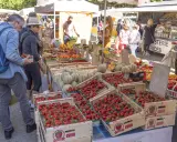 Le marché de Forcalquier animé, avec des étals débordant de fraises, melons et fruits. Des clients font leurs achats sous le soleil.