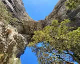 Vue plongeante d'un arc rocheux naturel lors d'une randonnée à Bonnieux, avec des arbres verdoyants et un ciel bleu éclatant.