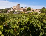 Vue sur le village de Châteauneuf-du-Pape, avec son château, ses vignobles et un ciel bleu.