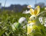 Un adorable lapin de Pâques jaune sort d'un œuf décoré, entouré d'herbe et d'œufs colorés. Idéal pour savoir que faire à Pâques.