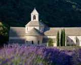 L'abbaye Notre-Dame de Sénanque, baignée de soleil, se dresse derrière un champ de lavande en fleurs.