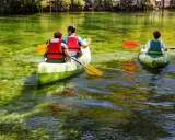 Trois personnes en canoë sur la Sorgue, profitant d'une balade paisible à L'Isle-sur-la-Sorgue. L'eau cristalline révèle la végétation sous-marine.