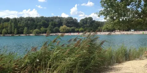 Bord du lac les Vannades, avec des roseaux au premier plan, une plage animée et une forêt dense en arrière-plan sous un ciel bleu et nuageux.