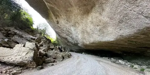 Le chemin menant au fort de Buoux serpente sous un immense surplomb rocheux, offrant un aperçu de la nature sauvage.