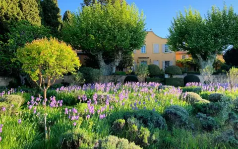 Un magnifique jardin en Provence, avec un champ d'iris violets devant un pavillon de galon jaune.