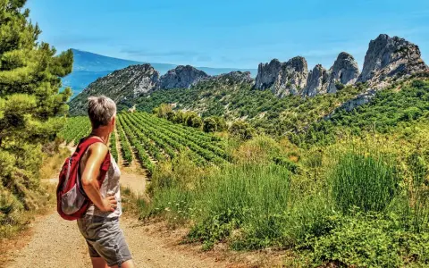 Une randonnée dans le Vaucluse, avec une femme admirant un paysage de vignobles et de montagnes rocheuses sous un ciel bleu.