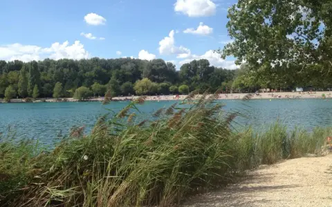 Bord du lac les Vannades, avec des roseaux au premier plan, une plage animée et une forêt dense en arrière-plan sous un ciel bleu et nuageux.