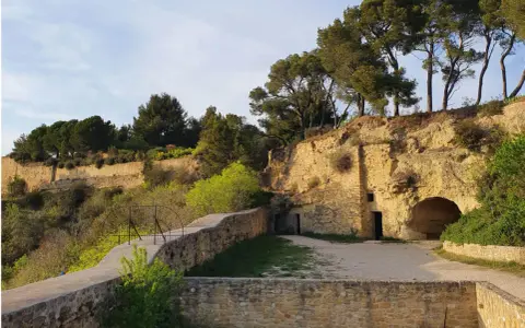 Vestiges du chateau de Cadenet creusés dans la roche, avec des pins majestueux surplombant le site.