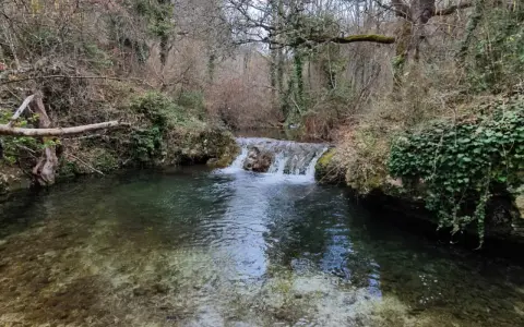 Un ruisseau aux reflets verts et bruns serpente à travers une forêt automnale, formant une petite cascade.
