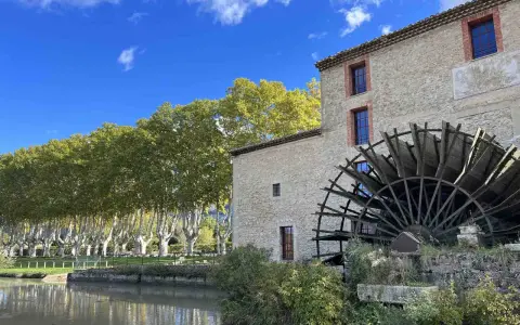Vieux moulin en pierre avec sa roue à aubes, bordé par une rivière et une allée d'arbres aux couleurs d'automne. Les taillades semblent figées dans le temps.