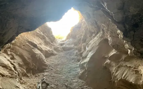 L'entrée de la grotte de Saint Eucher s'ouvre sur une lumière vive, révélant des parois rocheuses sculptées par le temps. Un morceau de bois mort repose au sol.