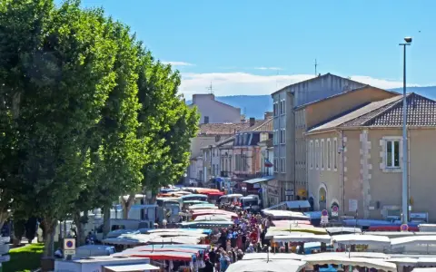 Animation de la vie au marché de Cavaillon, avec ses étals colorés sous les platanes, une foule animée et des camions de pizza.