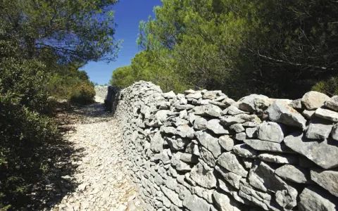Sentier rocailleux bordé d'un mur de pierres sèches, vestige d'un ancien mur de la peste, sous les pins verts et le ciel bleu.