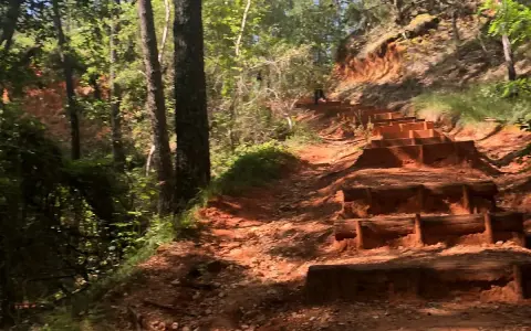 Escalier en bois sur un sentier rouge, au milieu d'une forêt verdoyante. Une invitation à l'aventure, comme un accrobranche rustrel.