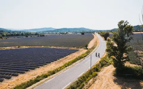 Deux cyclistes profitent des ocres et des champs de lavande en Provence.