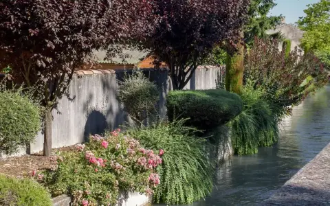 Un cheval blanc vaucluse, rêvant au bord d'un canal, entouré de roses et de verdure luxuriante.