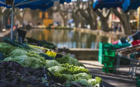 Légumes frais sur un étal du marché de Cucuron, avec un plan d'eau et des platanes en arrière-plan.
