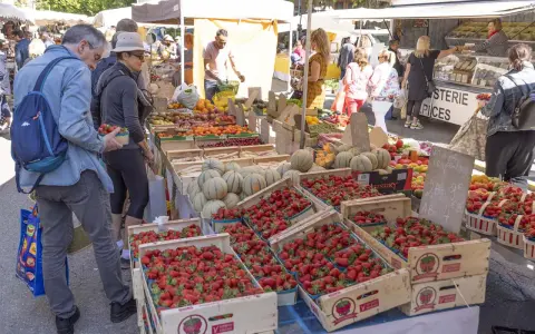 Le marché de Forcalquier animé, avec des étals débordant de fraises, melons et fruits. Des clients font leurs achats sous le soleil.