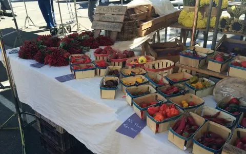 Au marché de Carpentras, des piments rouges vifs et des poivrons colorés sont présentés dans des paniers en bois.