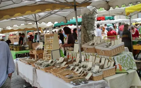 Ambiance animée au marché de Lourmarin, avec des étals de produits locaux, herbes aromatiques et bouteilles d'huile d'olive.