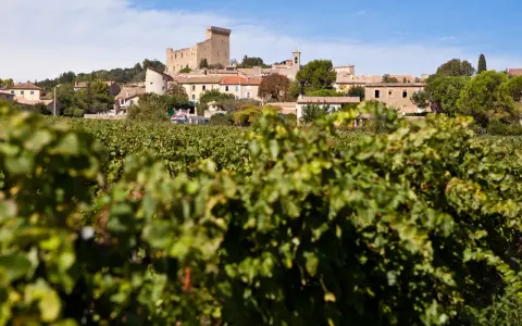 Vue sur le village de Châteauneuf-du-Pape, avec son château, ses vignobles et un ciel bleu.