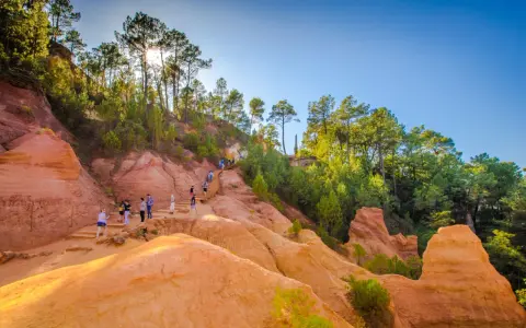 Des randonneurs explorent un sentier boisé aux ocres de Provence, baigné de soleil.