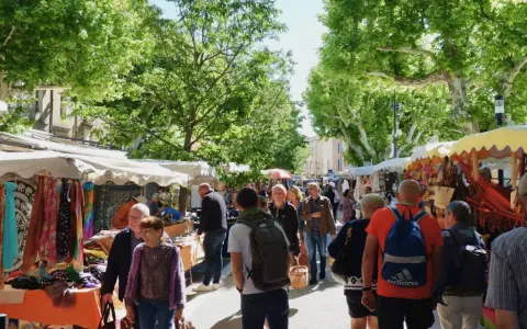 Ambiance animée au marché de Vaison-la-Romaine, avec des étals colorés de tissus et d'artisanat sous les platanes.