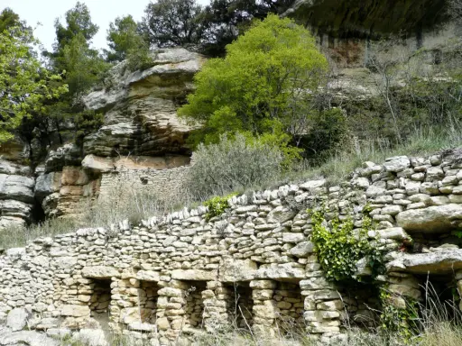 Vestiges d'une ancienne ville de murs en pierre, intégrée à une falaise rocheuse, avec végétation luxuriante.