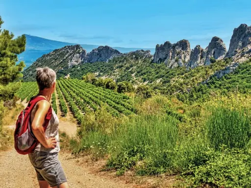 Une randonnée dans le Vaucluse, avec une femme admirant un paysage de vignobles et de montagnes rocheuses sous un ciel bleu.