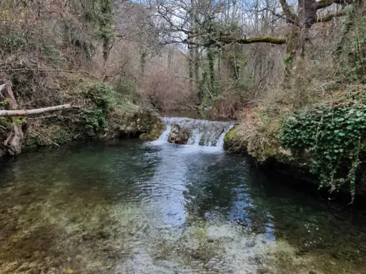 Un ruisseau aux reflets verts et bruns serpente à travers une forêt automnale, formant une petite cascade.